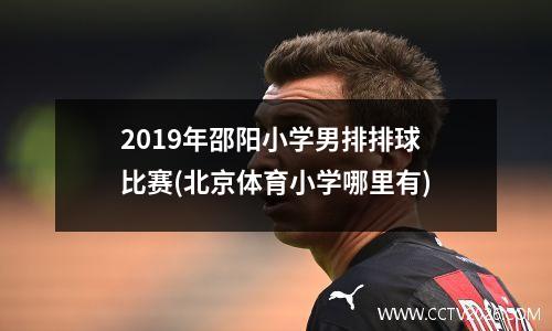 2019年邵阳小学男排排球比赛(北京体育小学哪里有)