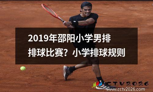 2019年邵阳小学男排排球比赛？小学排球规则