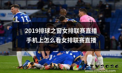2019排球之窗女排联赛直播 手机上怎么看女排联赛直播