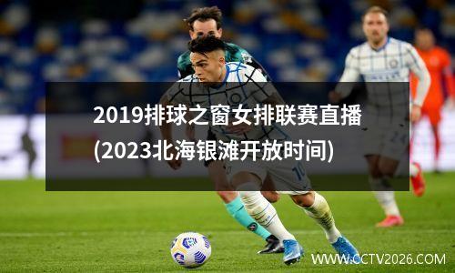 2019排球之窗女排联赛直播(2023北海银滩开放时间)