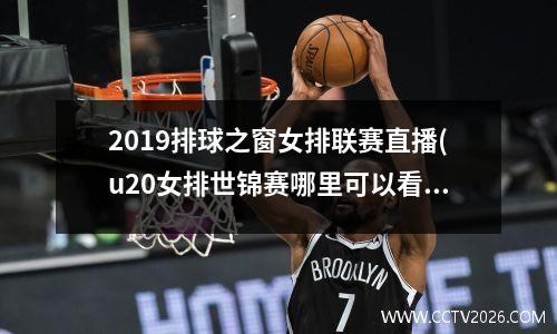 2019排球之窗女排联赛直播(u20女排世锦赛哪里可以看)