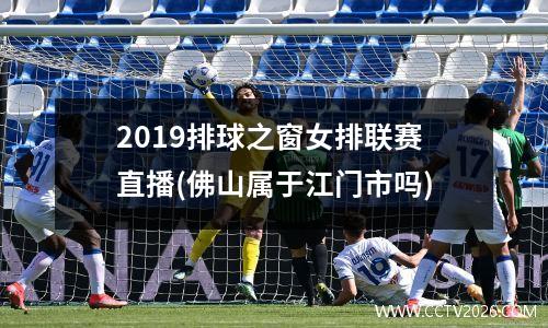 2019排球之窗女排联赛直播(佛山属于江门市吗)