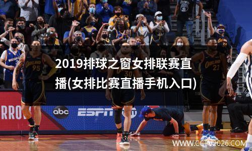 2019排球之窗女排联赛直播(女排比赛直播手机入口)
