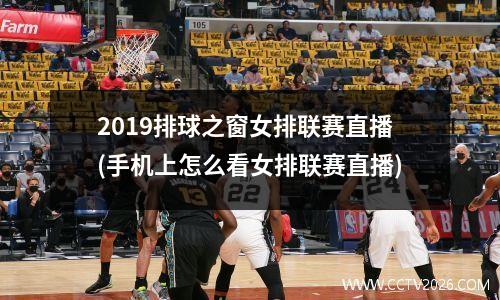 2019排球之窗女排联赛直播(手机上怎么看女排联赛直播)