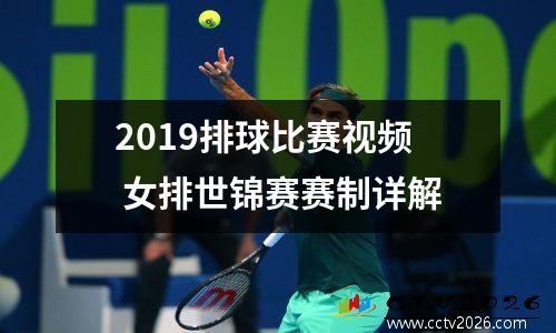 2019排球比赛视频 女排世锦赛赛制详解