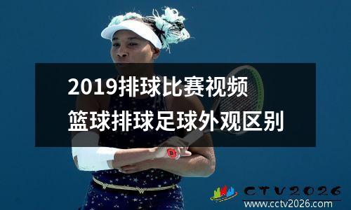 2019排球比赛视频 篮球排球足球外观区别