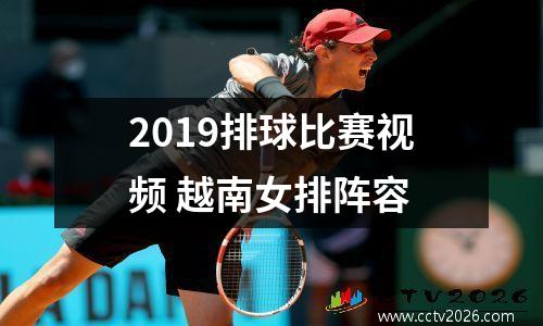 2019排球比赛视频 越南女排阵容