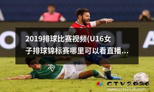 2019排球比赛视频(U16女子排球锦标赛哪里可以看直播)