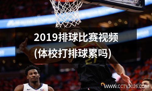 2019排球比赛视频(体校打排球累吗)