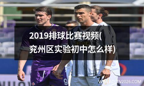 2019排球比赛视频(兖州区实验初中怎么样)