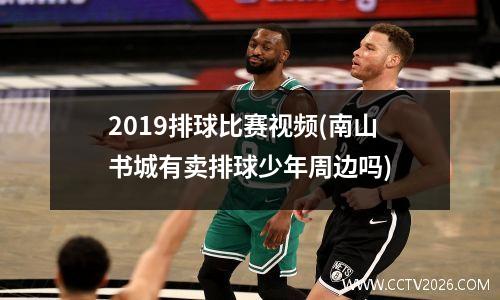 2019排球比赛视频(南山书城有卖排球少年周边吗)