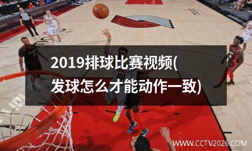 2019排球比赛视频(发球怎么才能动作一致)