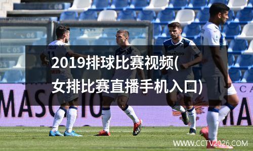 2019排球比赛视频(女排比赛直播手机入口)