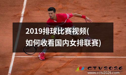 2019排球比赛视频(如何收看国内女排联赛)