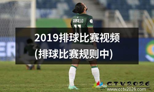 2019排球比赛视频(排球比赛规则中)