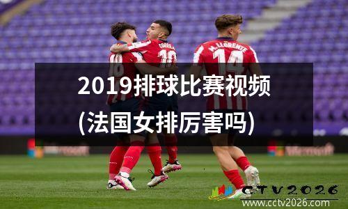2019排球比赛视频(法国女排厉害吗)