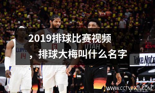 2019排球比赛视频，排球大梅叫什么名字