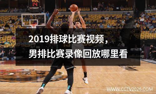 2019排球比赛视频，男排比赛录像回放哪里看
