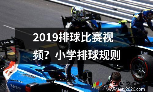 2019排球比赛视频？小学排球规则