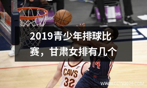 2019青少年排球比赛，甘肃女排有几个