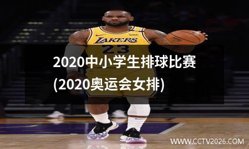 2020中小学生排球比赛(2020奥运会女排)