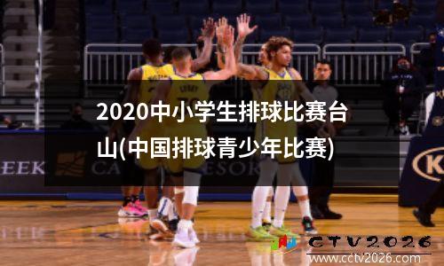 2020中小学生排球比赛台山(中国排球青少年比赛)