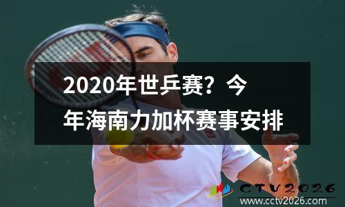 2020年世乒赛？今年海南力加杯赛事安排