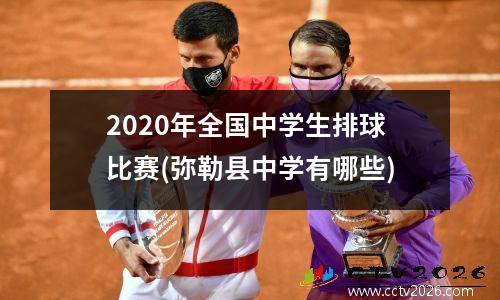 2020年全国中学生排球比赛(弥勒县中学有哪些)