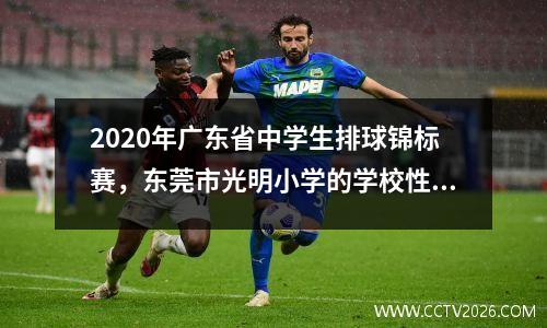 2020年广东省中学生排球锦标赛，东莞市光明小学的学校性质