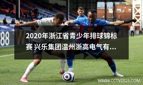 2020年浙江省青少年排球锦标赛 兴乐集团温州浙高电气有限公司介绍