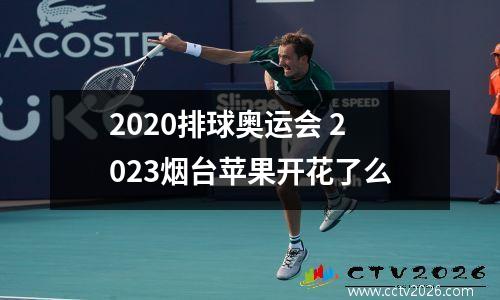 2020排球奥运会 2023烟台苹果开花了么