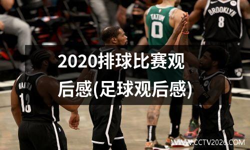 2020排球比赛观后感(足球观后感)