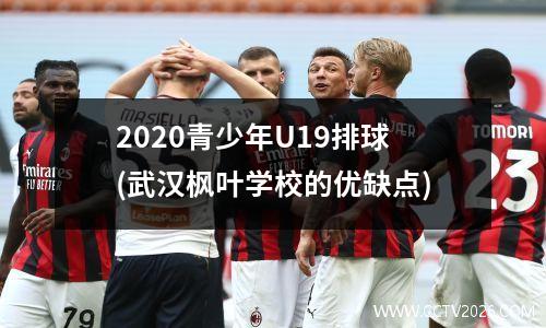 2020青少年U19排球(武汉枫叶学校的优缺点)