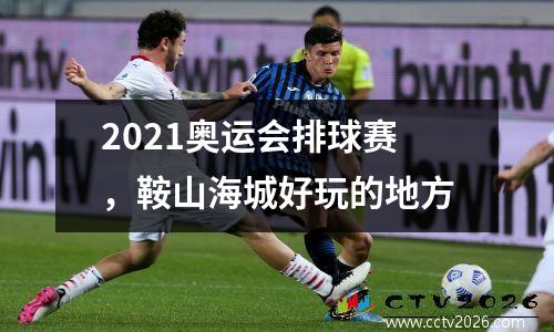2021奥运会排球赛，鞍山海城好玩的地方