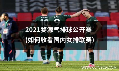 2021婺源气排球公开赛(如何收看国内女排联赛)