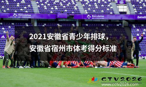2021安徽省青少年排球，安徽省宿州市体考得分标准