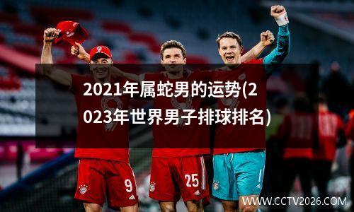 2021年属蛇男的运势(2023年世界男子排球排名)