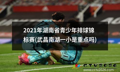 2021年湖南省青少年排球锦标赛(武昌南湖一小是重点吗)