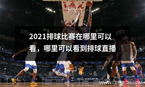 2021排球比赛在哪里可以看，哪里可以看到排球直播