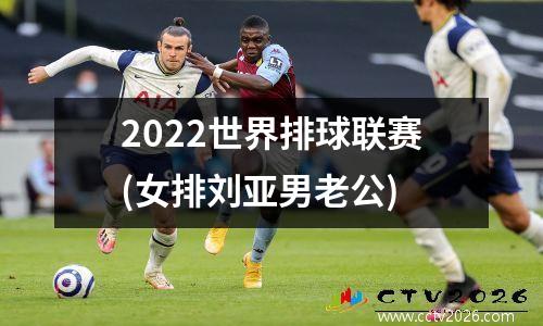 2022世界排球联赛(女排刘亚男老公)