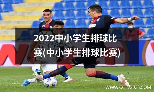 2022中小学生排球比赛(中小学生排球比赛)