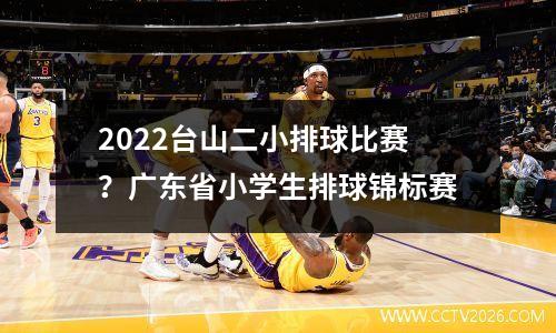 2022台山二小排球比赛？广东省小学生排球锦标赛