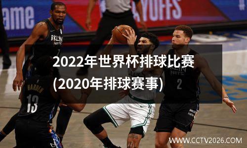 2022年世界杯排球比赛(2020年排球赛事)