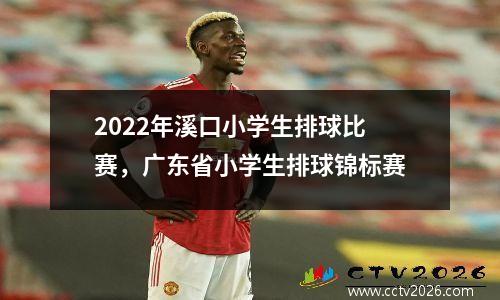 2022年溪口小学生排球比赛，广东省小学生排球锦标赛