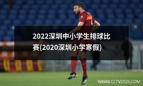 2022深圳中小学生排球比赛(2020深圳小学寒假)