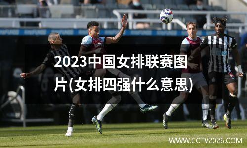 2023中国女排联赛图片(女排四强什么意思)
