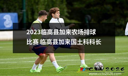 2023临高县加来农场排球比赛 临高县加来国土科科长