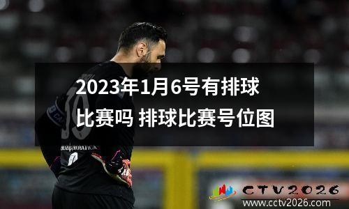 2023年1月6号有排球比赛吗 排球比赛号位图