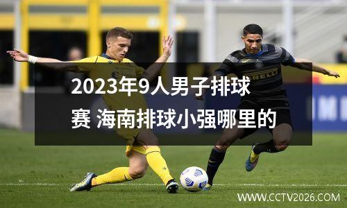 2023年9人男子排球赛 海南排球小强哪里的