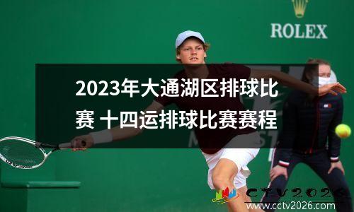2023年大通湖区排球比赛 十四运排球比赛赛程